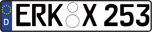 ERK-X253