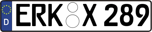 ERK-X289