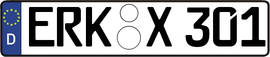 ERK-X301