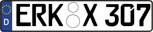 ERK-X307