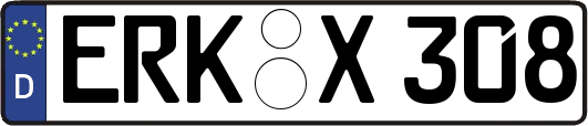 ERK-X308