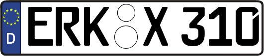 ERK-X310