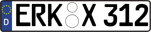 ERK-X312