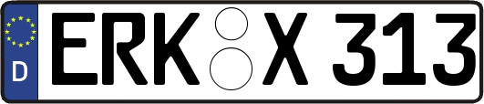 ERK-X313
