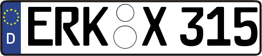 ERK-X315