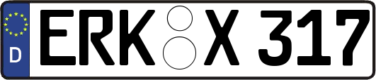 ERK-X317