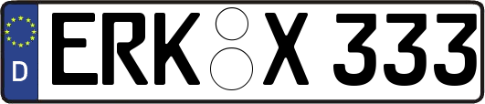 ERK-X333