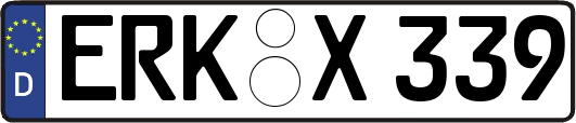ERK-X339