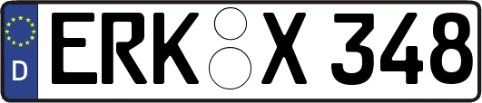 ERK-X348