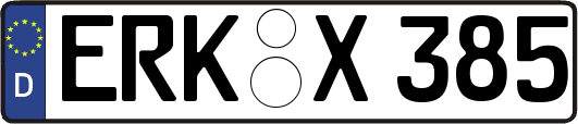 ERK-X385