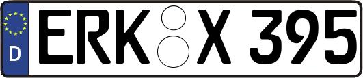 ERK-X395