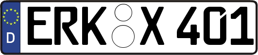 ERK-X401