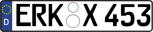 ERK-X453