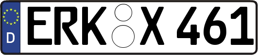 ERK-X461