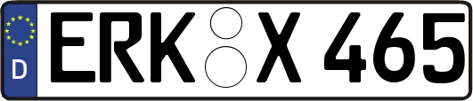 ERK-X465