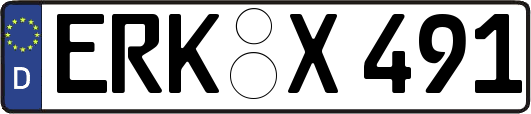 ERK-X491