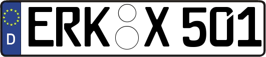ERK-X501
