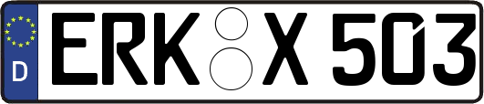 ERK-X503