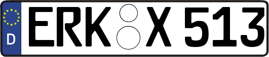 ERK-X513