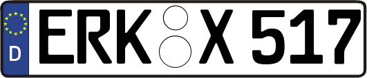 ERK-X517