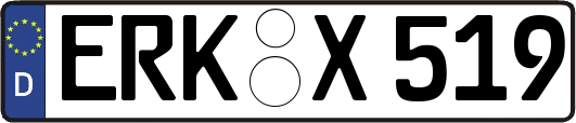 ERK-X519