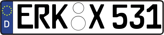 ERK-X531
