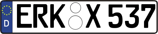 ERK-X537