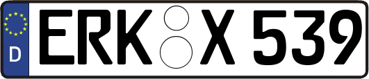 ERK-X539