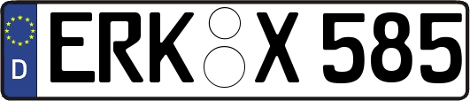 ERK-X585