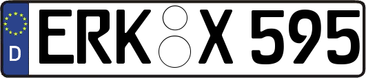 ERK-X595