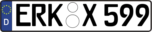 ERK-X599