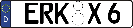ERK-X6