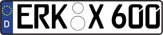 ERK-X600