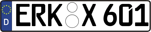 ERK-X601