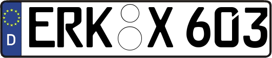 ERK-X603