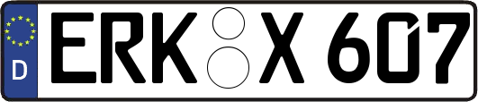 ERK-X607