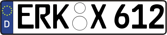 ERK-X612