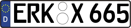 ERK-X665