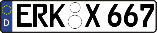ERK-X667