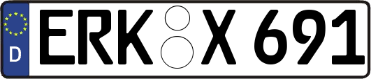 ERK-X691