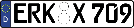 ERK-X709
