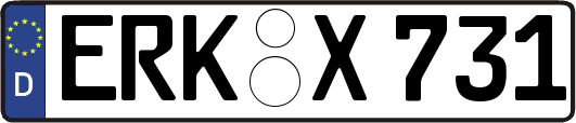 ERK-X731