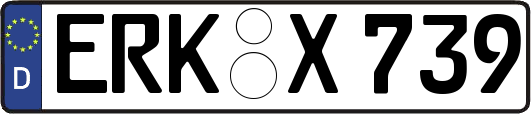 ERK-X739