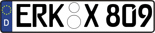 ERK-X809