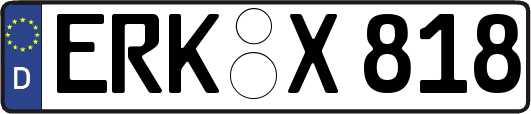 ERK-X818