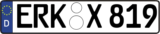 ERK-X819