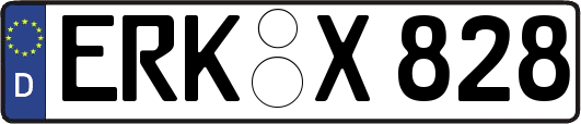 ERK-X828
