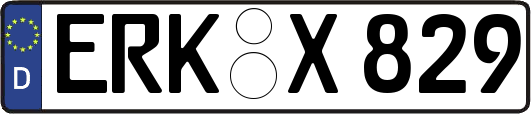 ERK-X829