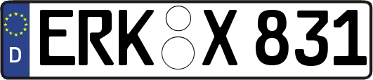 ERK-X831