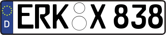ERK-X838